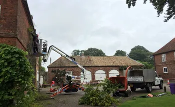Pruning and Crown Reductions
