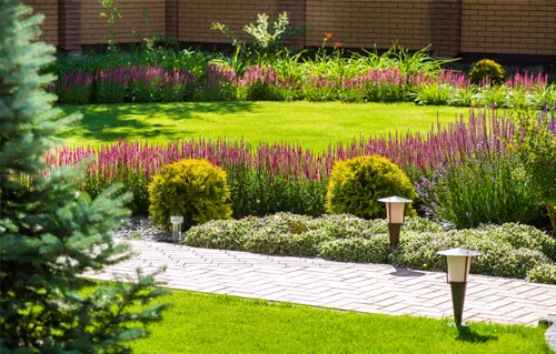Domestic Gardens