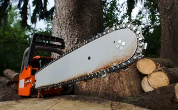 tree-surgeon-in-suffolk tree-surgeon-in-suffolk