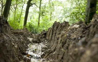 Decompaction & Root Zone