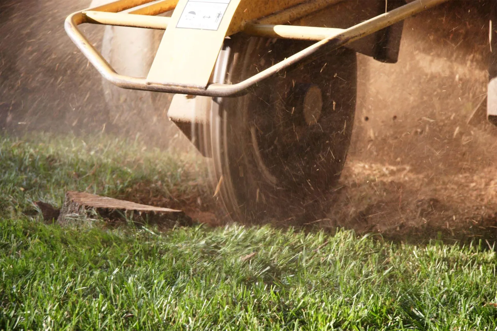 Remove unsightly stumps with our cost effective machinery.
