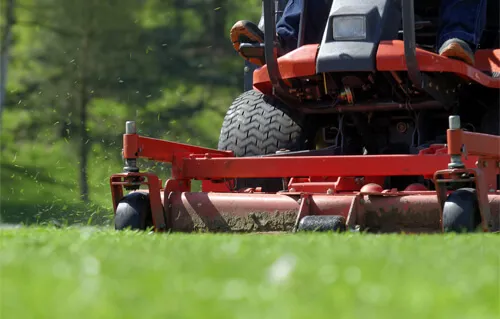 Landscaping Maintenance