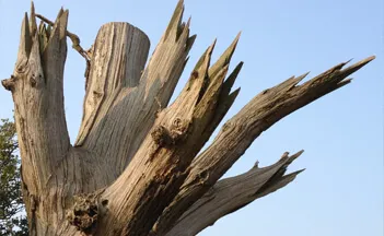 natural-fracture-monolith